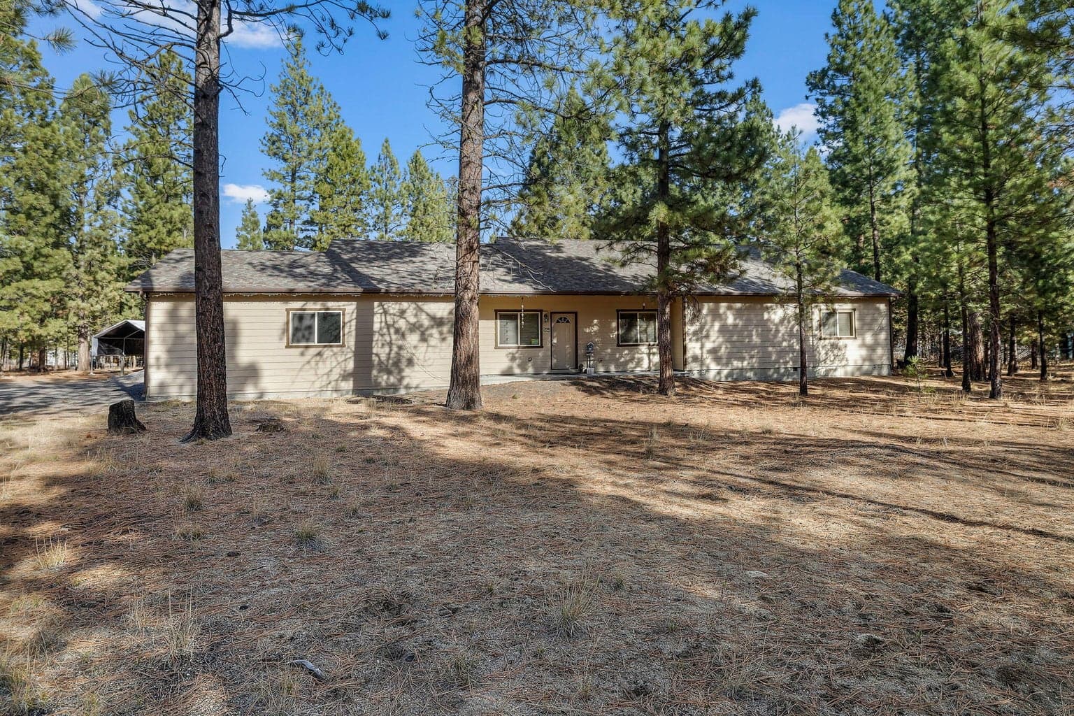 Photo of 52052 Red Pine 3 of 29