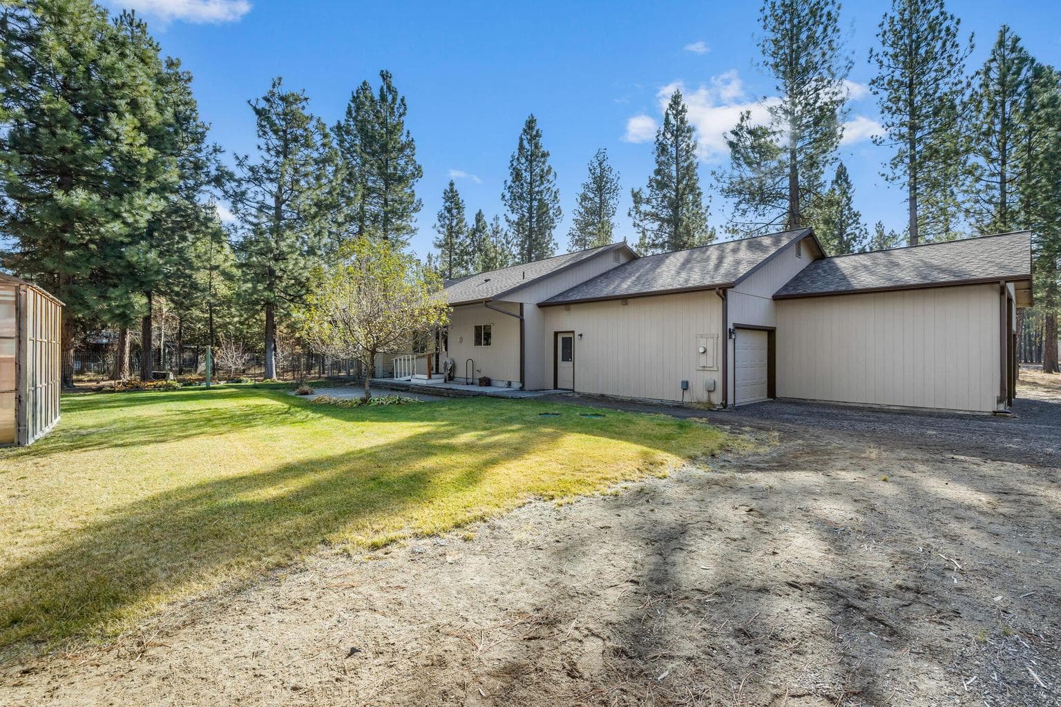 Photo of 52052 Red Pine 5 of 29