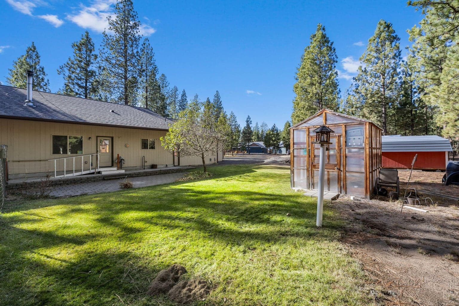 Photo of 52052 Red Pine 6 of 29