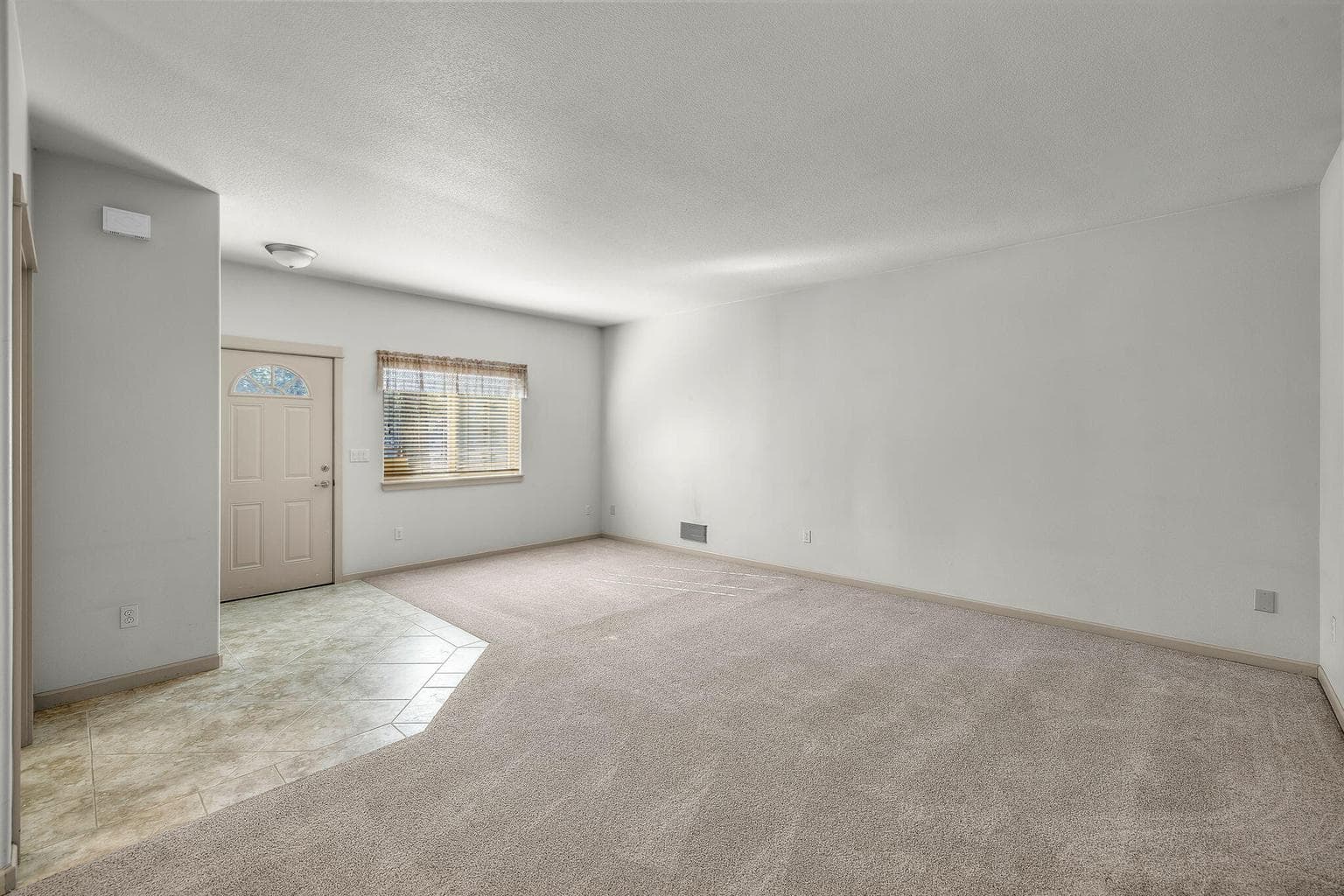 Photo of 52052 Red Pine 8 of 29