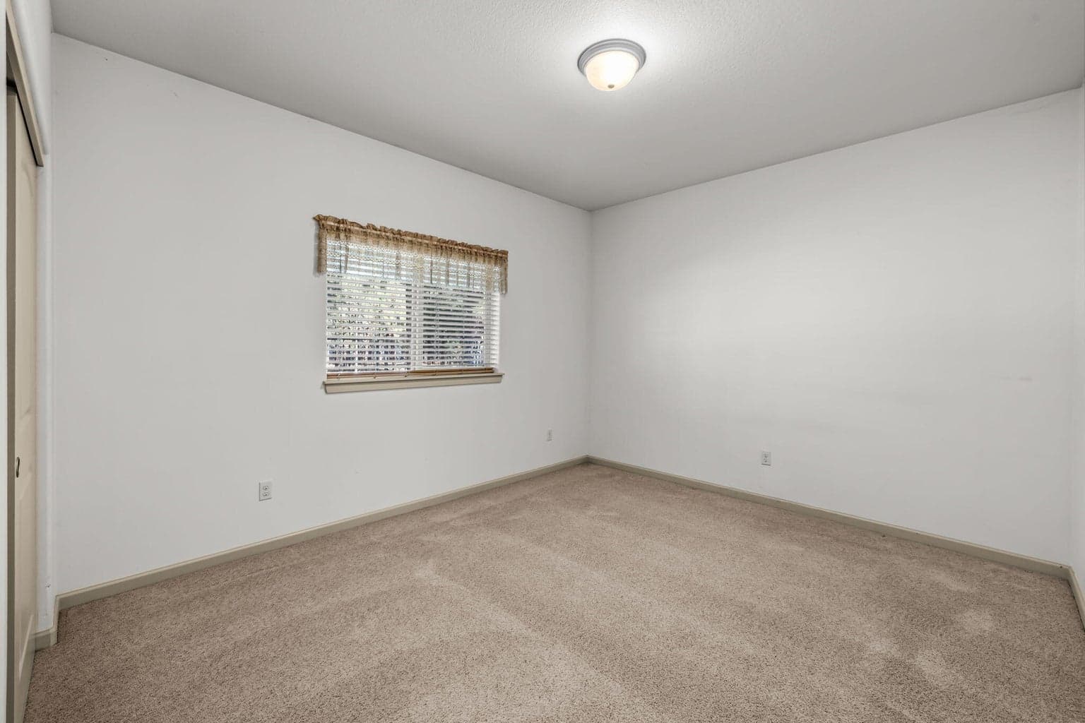 Photo of 52052 Red Pine 19 of 29