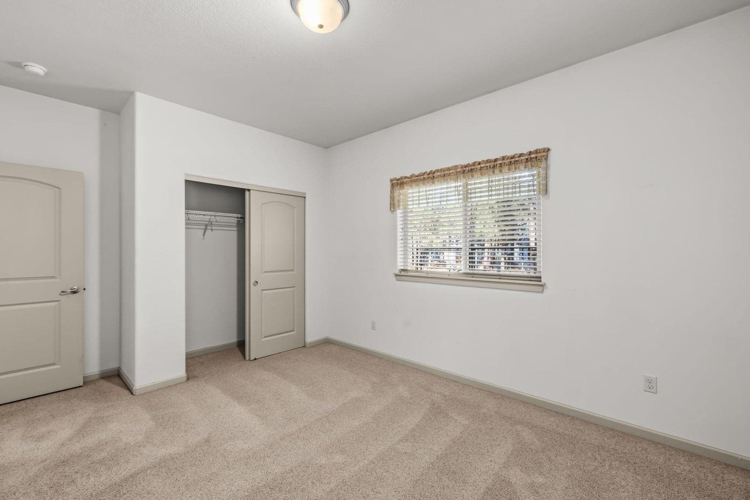 Photo of 52052 Red Pine 20 of 29