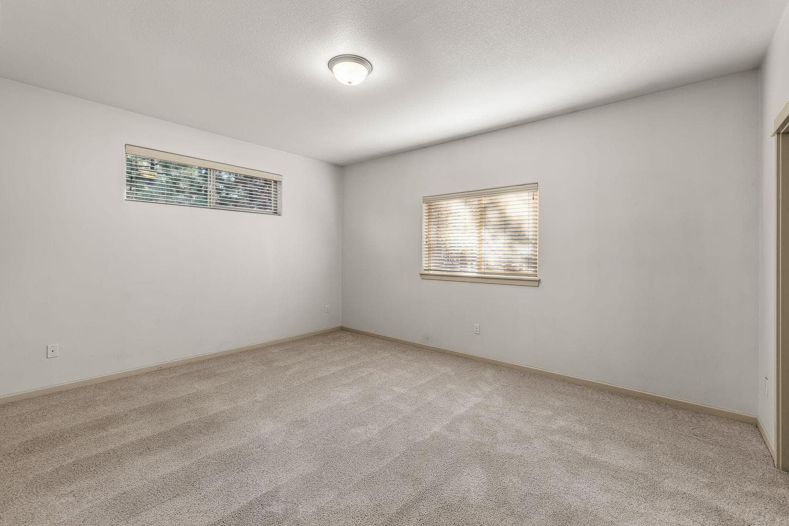 Photo of 52052 Red Pine 22 of 29