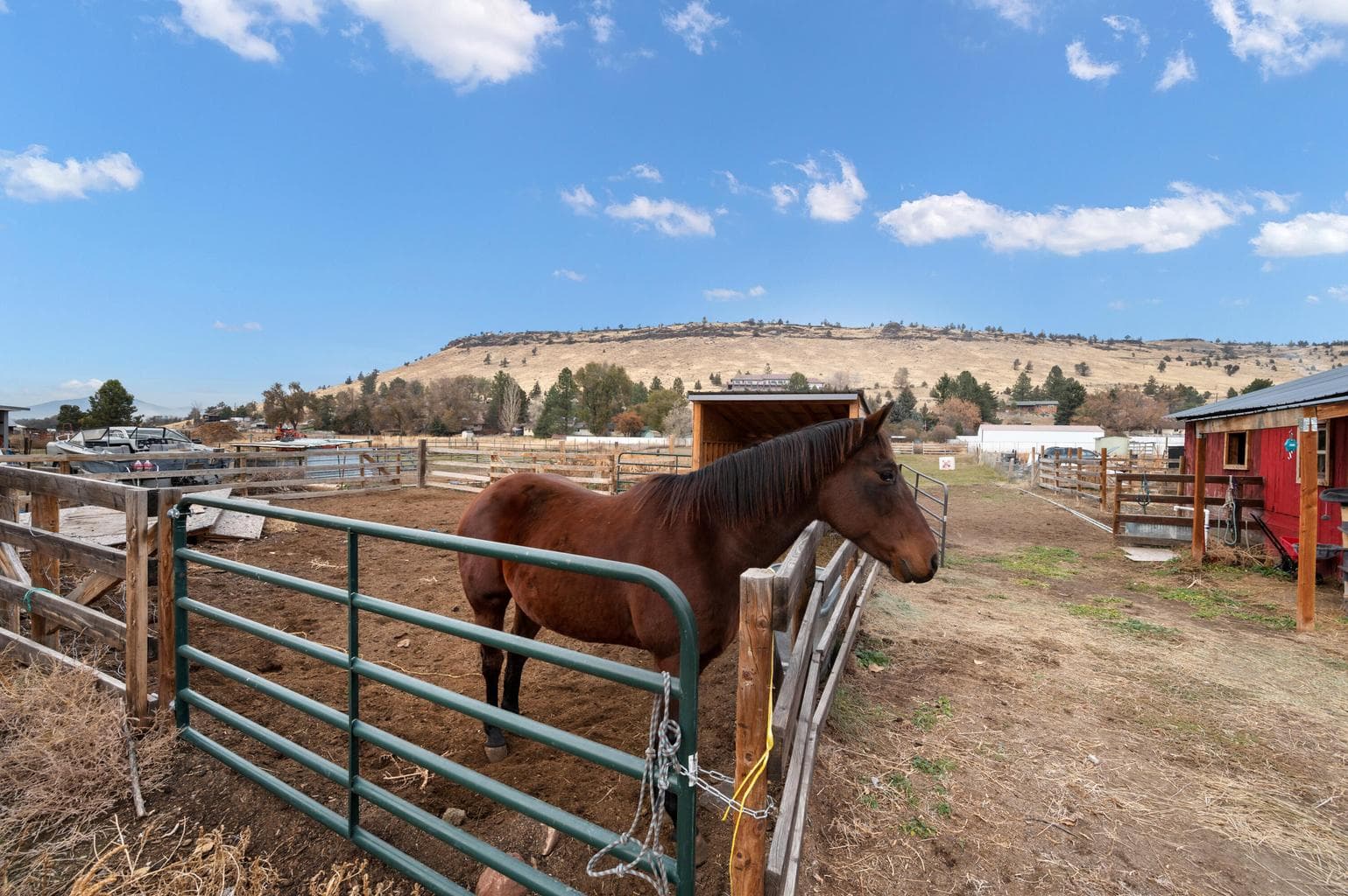 Photo of 2617 SE Paulina Highway 41 of 41