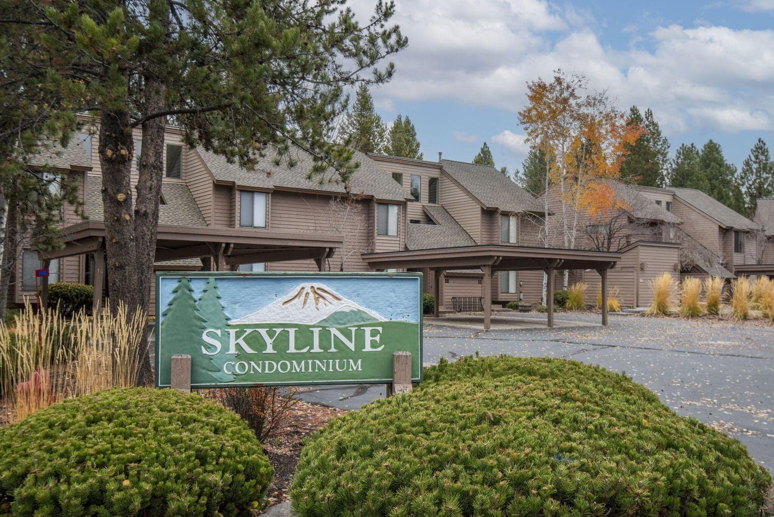 Welcome to the Skyline Condos!
