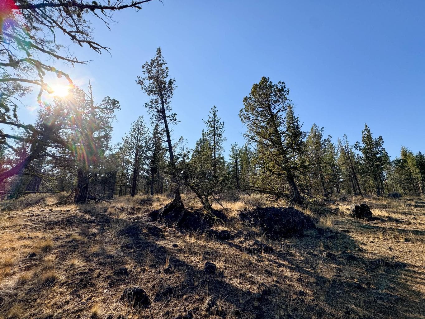 Photo of 17390 Big Buck Road 8 of 35