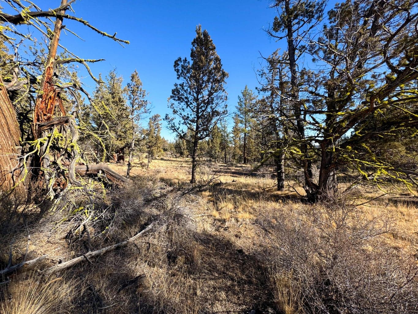 Photo of 17390 Big Buck Road 10 of 35