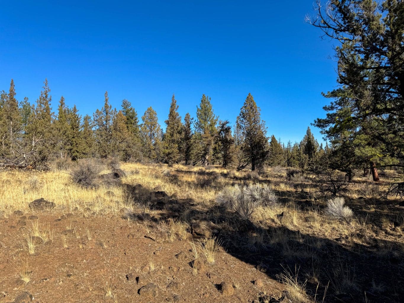Photo of 17390 Big Buck Road 11 of 35
