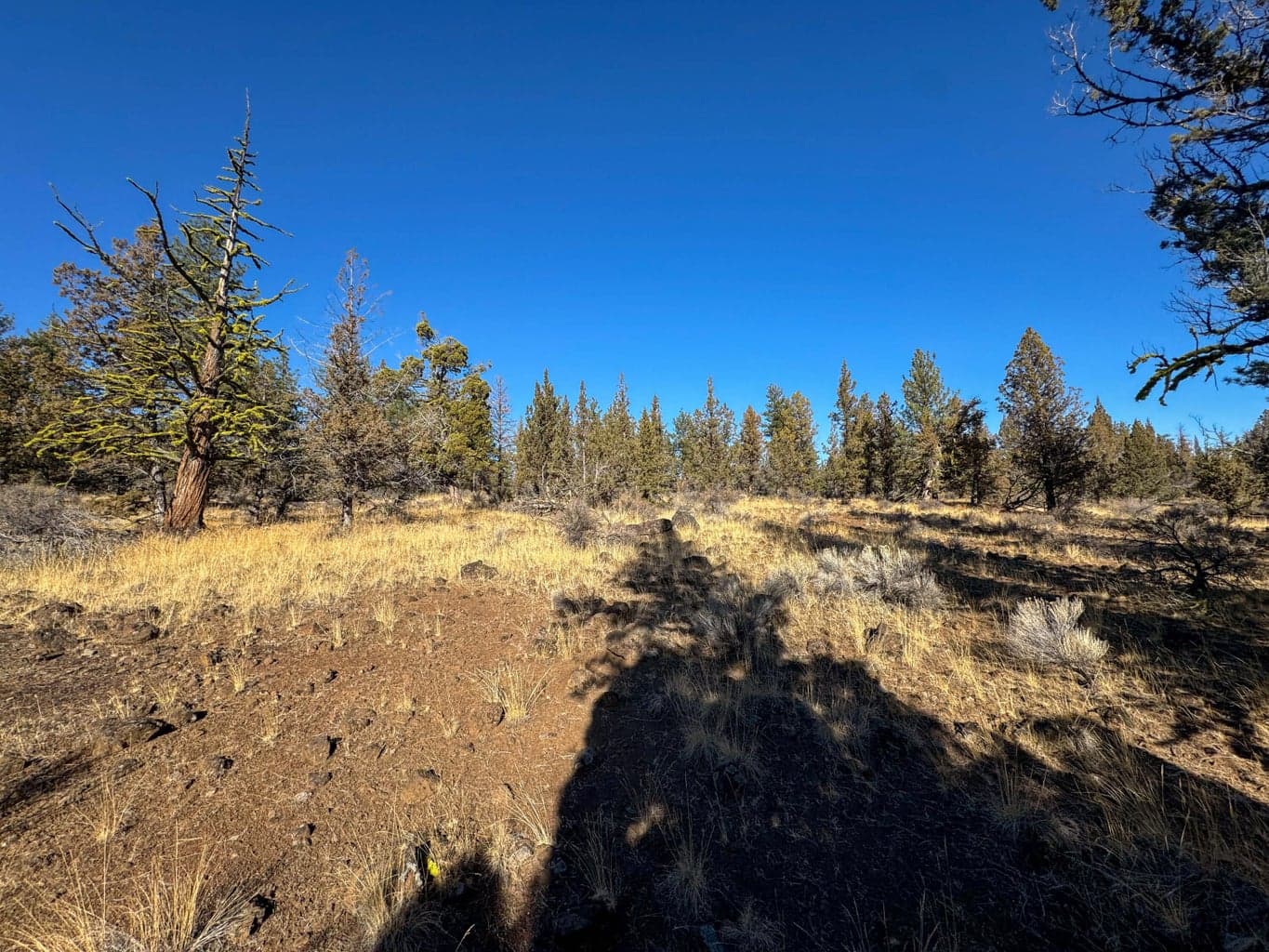 Photo of 17390 Big Buck Road 12 of 35