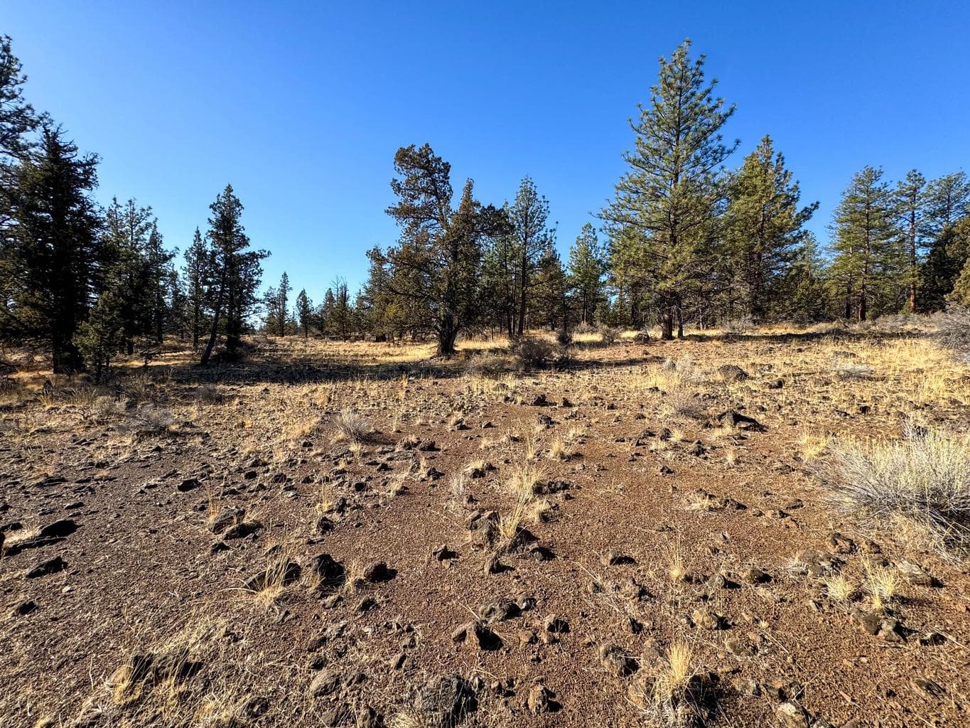 Photo of 17390 Big Buck Road 13 of 35