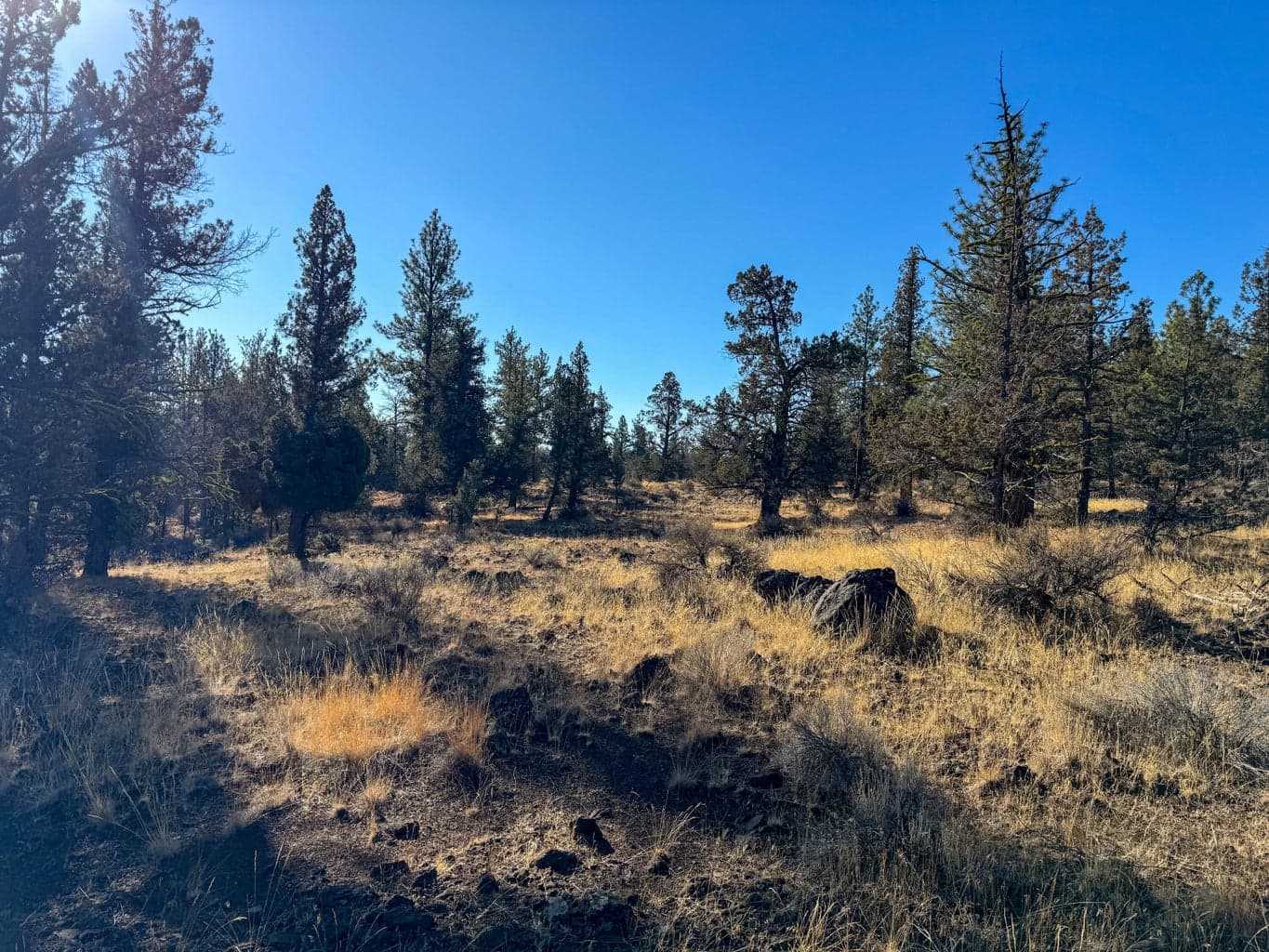 Photo of 17390 Big Buck Road 16 of 35