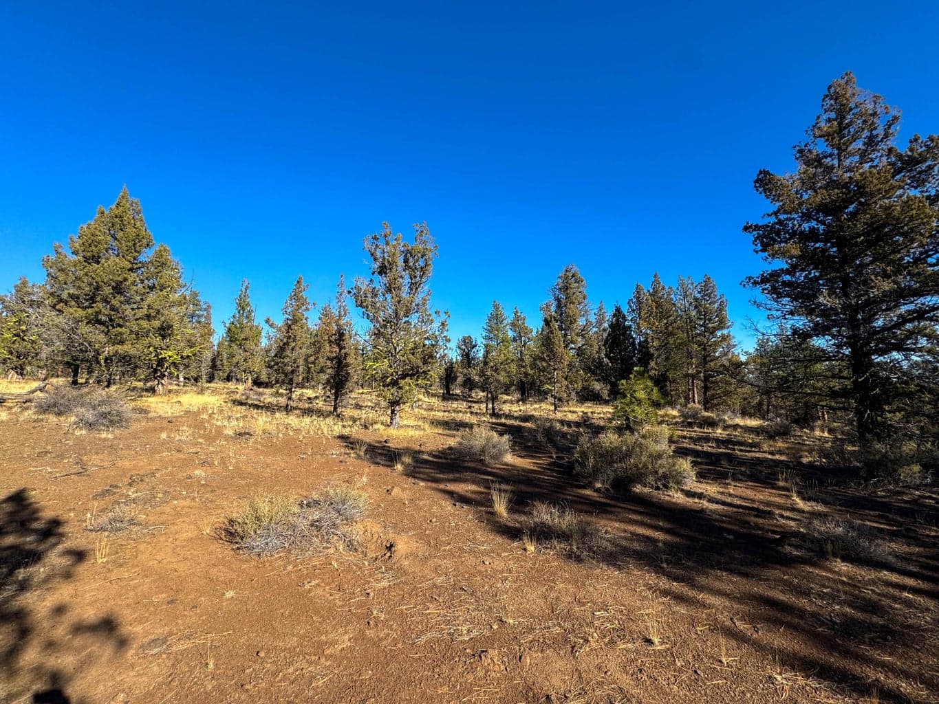 Photo of 17390 Big Buck Road 18 of 35