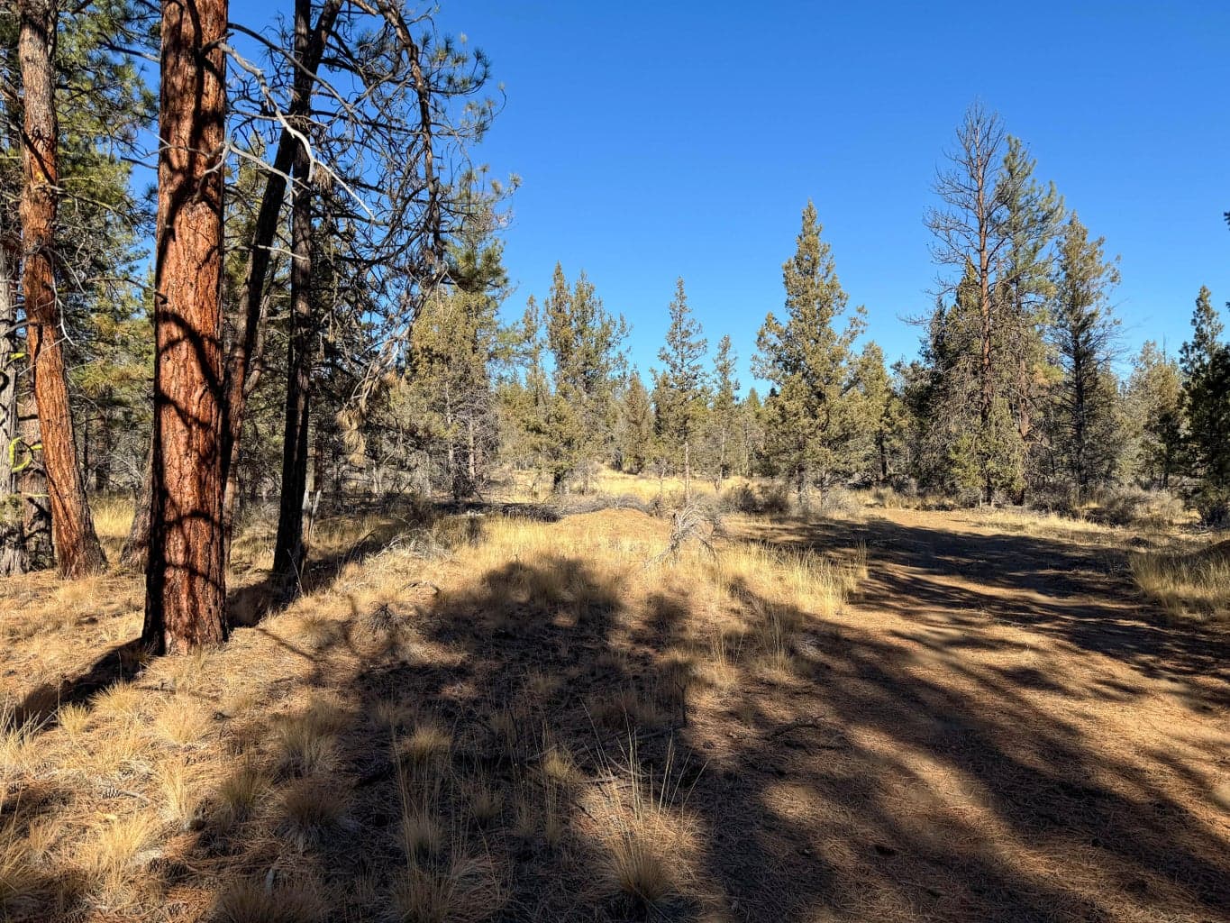 Photo of 17390 Big Buck Road 23 of 35