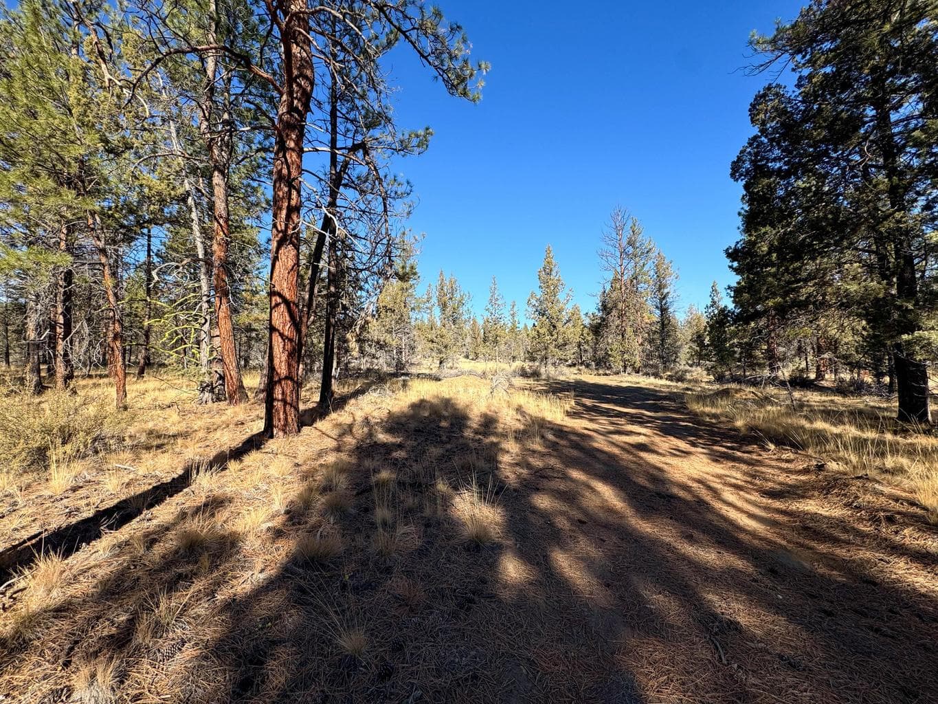 Photo of 17390 Big Buck Road 24 of 35