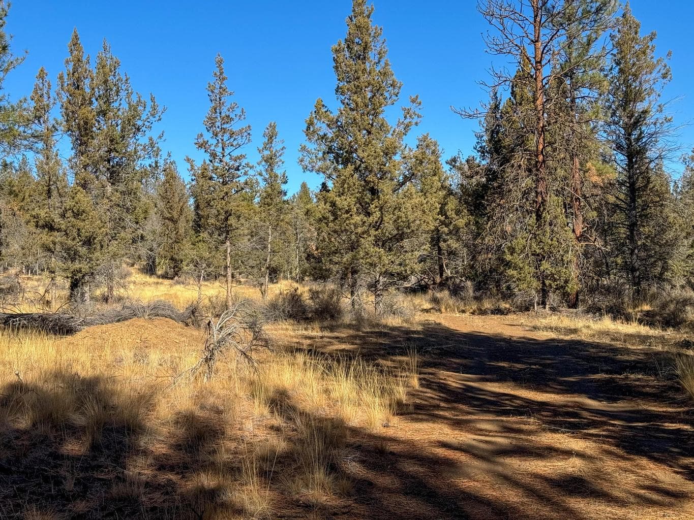 Photo of 17390 Big Buck Road 25 of 35