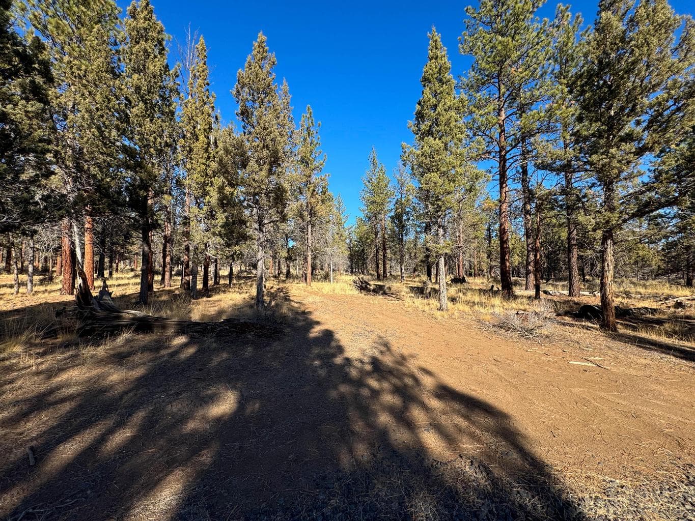 Photo of 17390 Big Buck Road 26 of 35