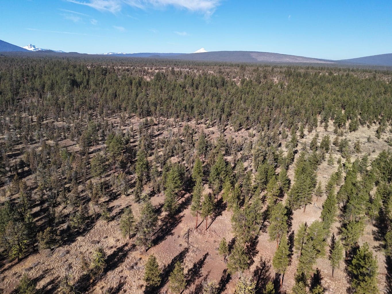 Photo of 17390 Big Buck Road 30 of 35