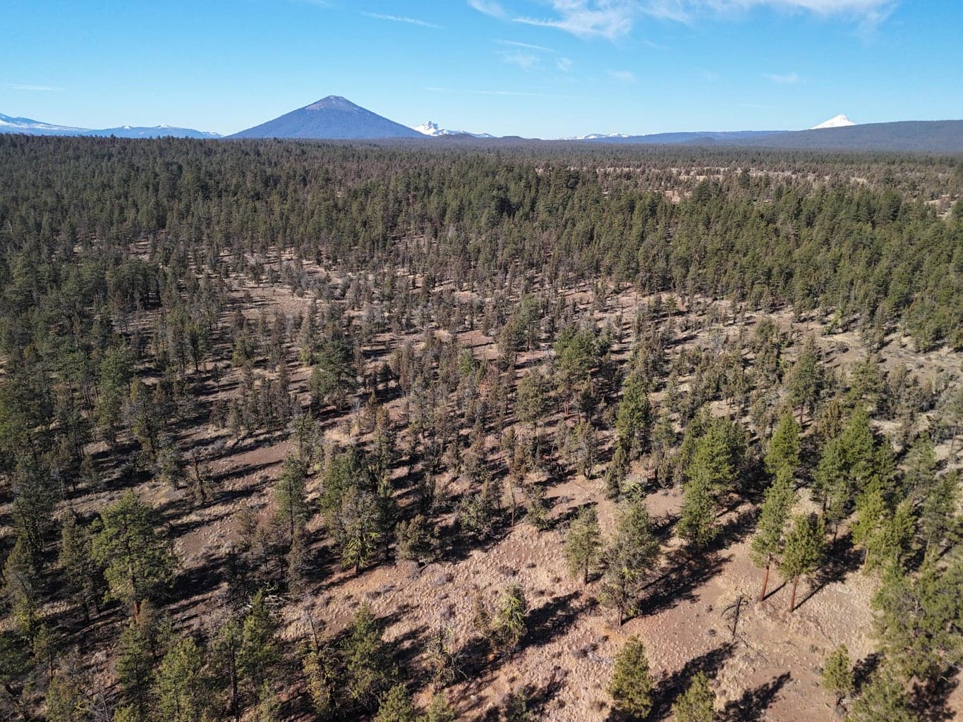 Photo of 17390 Big Buck Road 31 of 35
