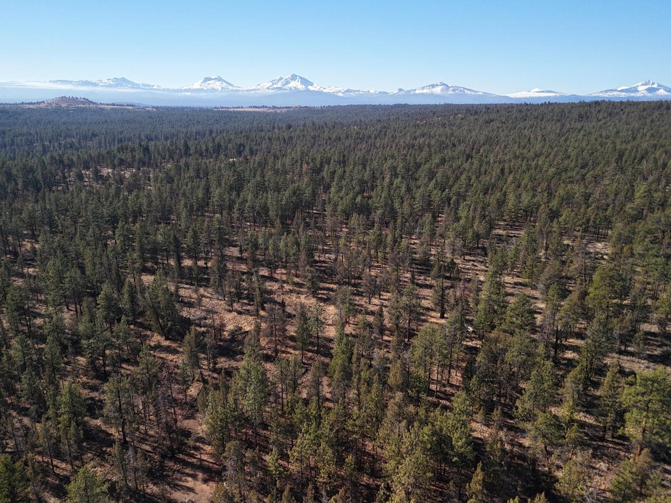Photo of 17390 Big Buck Road 32 of 35