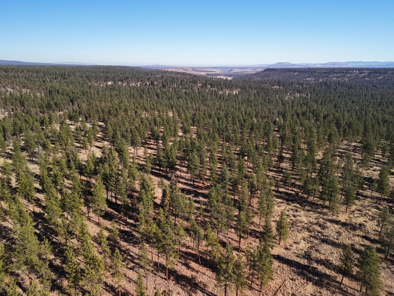 Photo of 17390 Big Buck Road 33 of 35