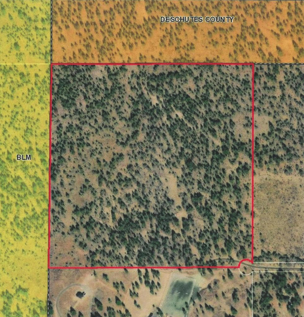 Photo of 17390 Big Buck Road 34 of 35