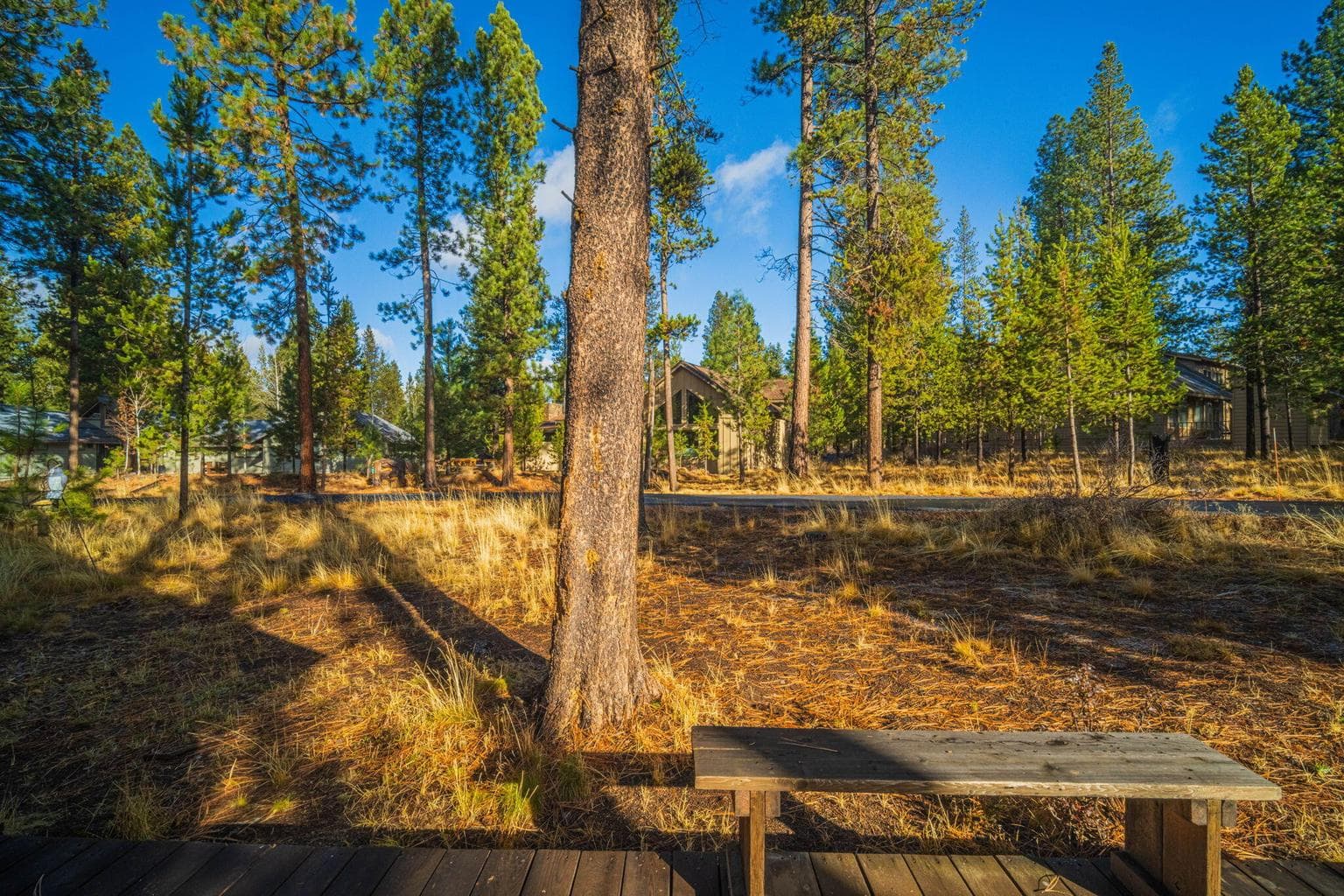 Photo of 17604 Cluster Cabin Lane 29 of 37