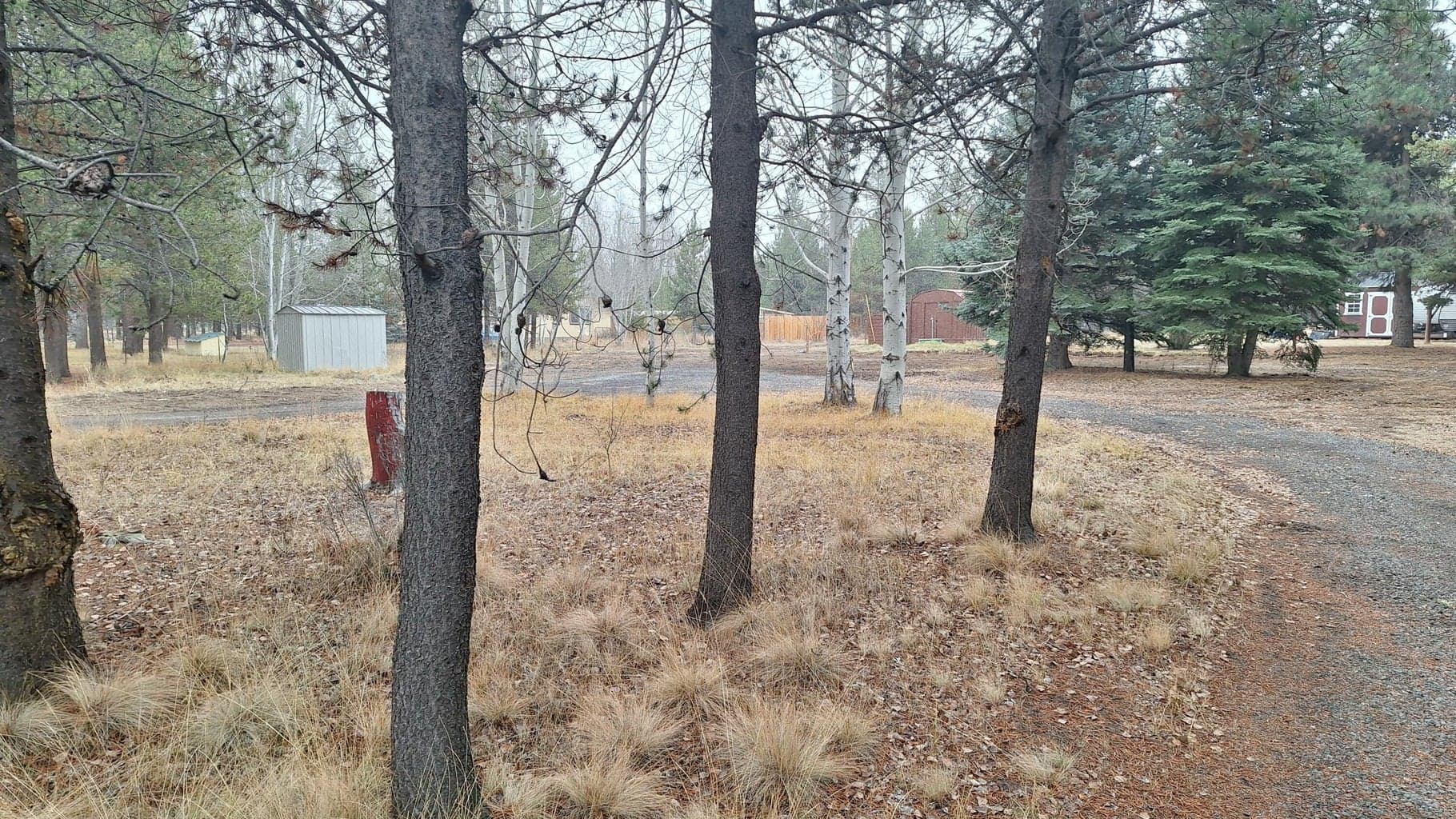 Circular drive with trees.