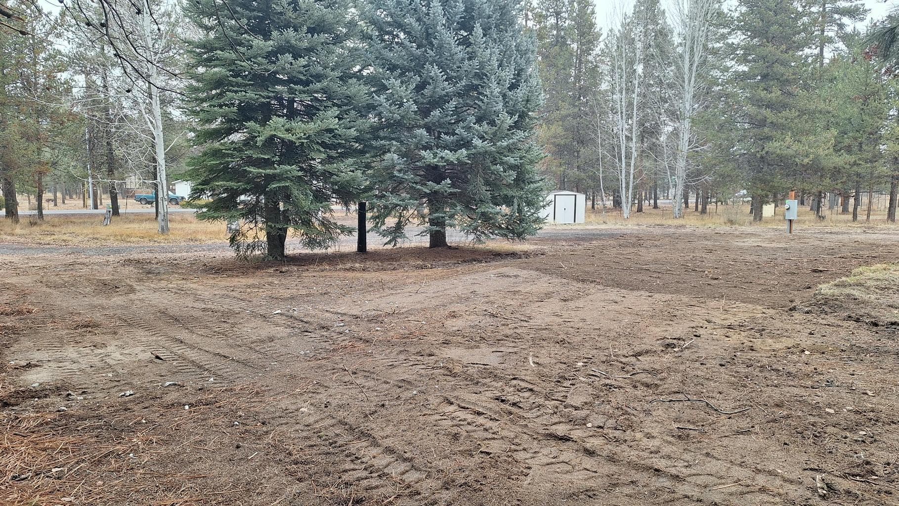 Cleared potential build/placement site.
