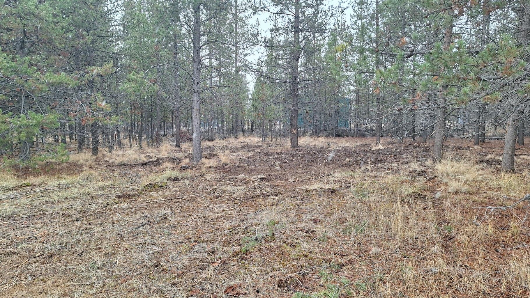 Photo of 16083 Burgess Road 11 of 19