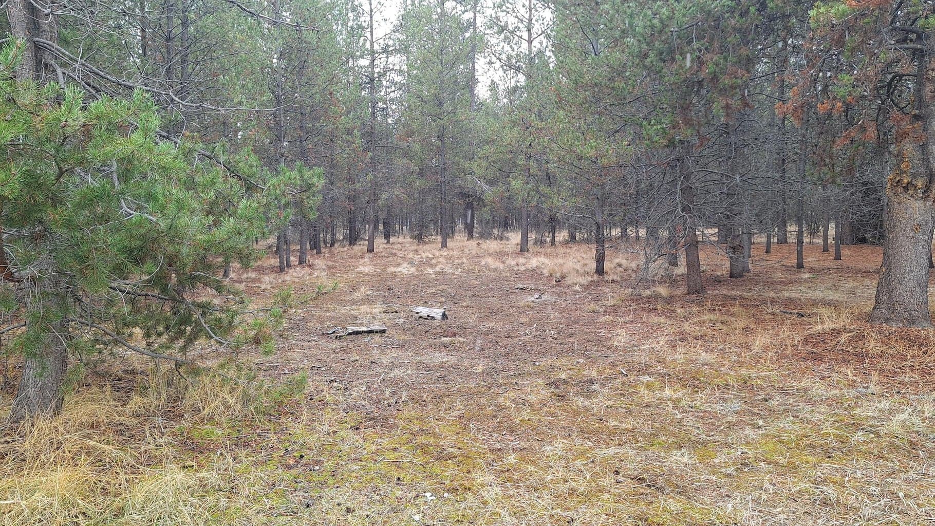 Photo of 16083 Burgess Road 12 of 19