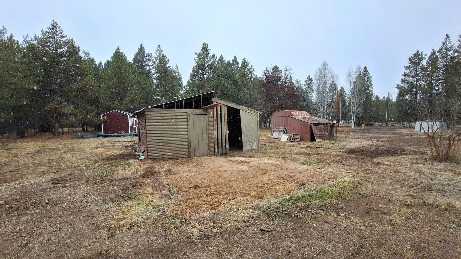Wood storage and chicken coop.