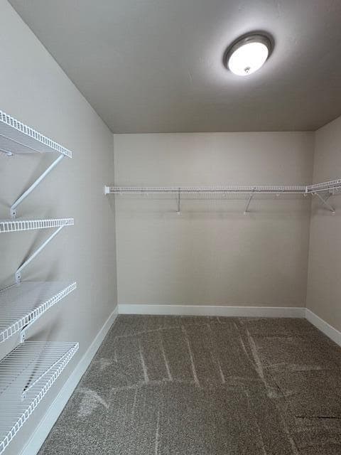 Primary Closet