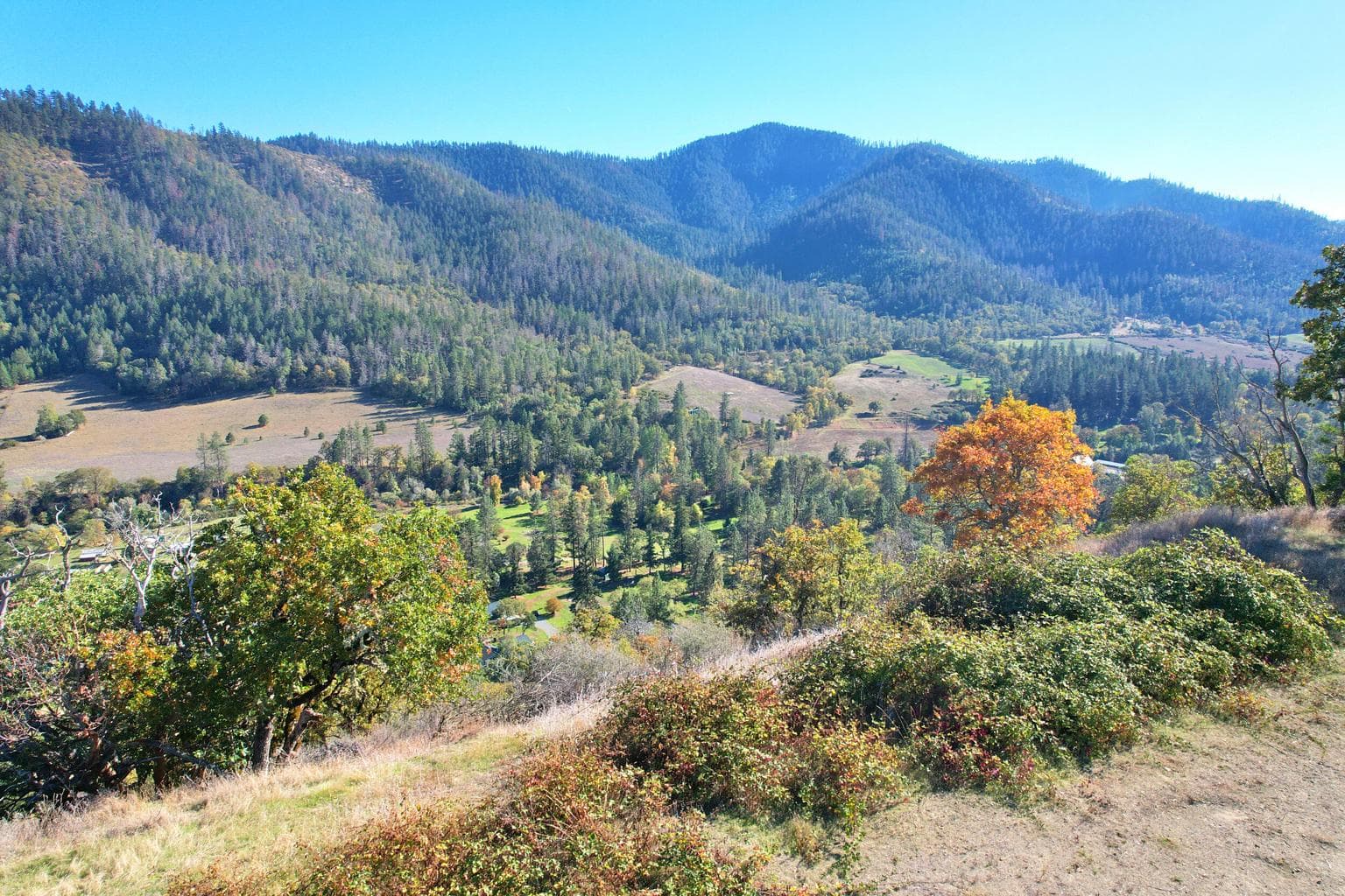 Photo of 550 Thompson Creek 5 of 23