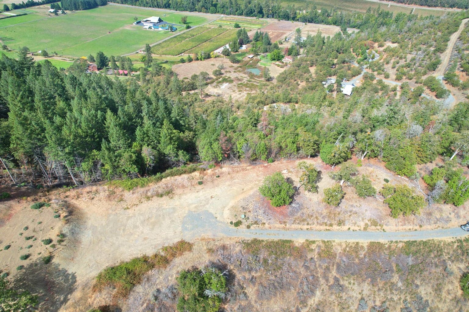 550 Thompson Creek