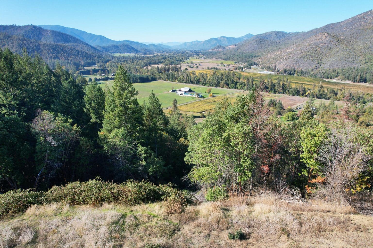 Photo of 550 Thompson Creek 4 of 23