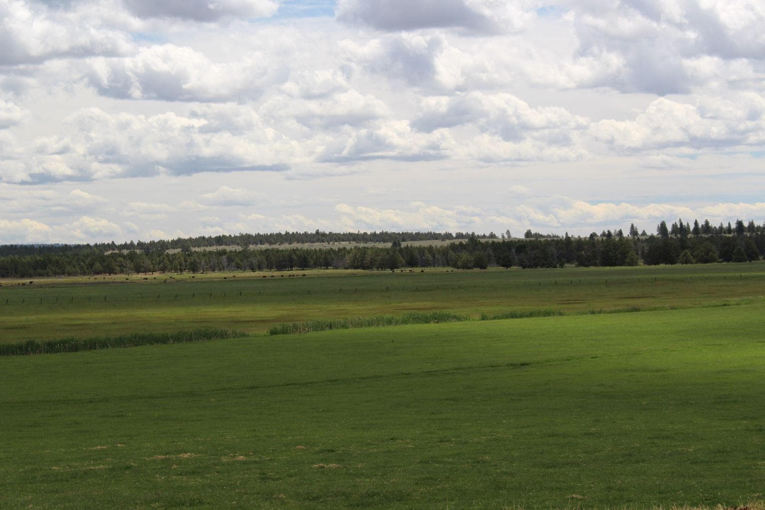 Photo of 23411 Langell Valley 2 of 12