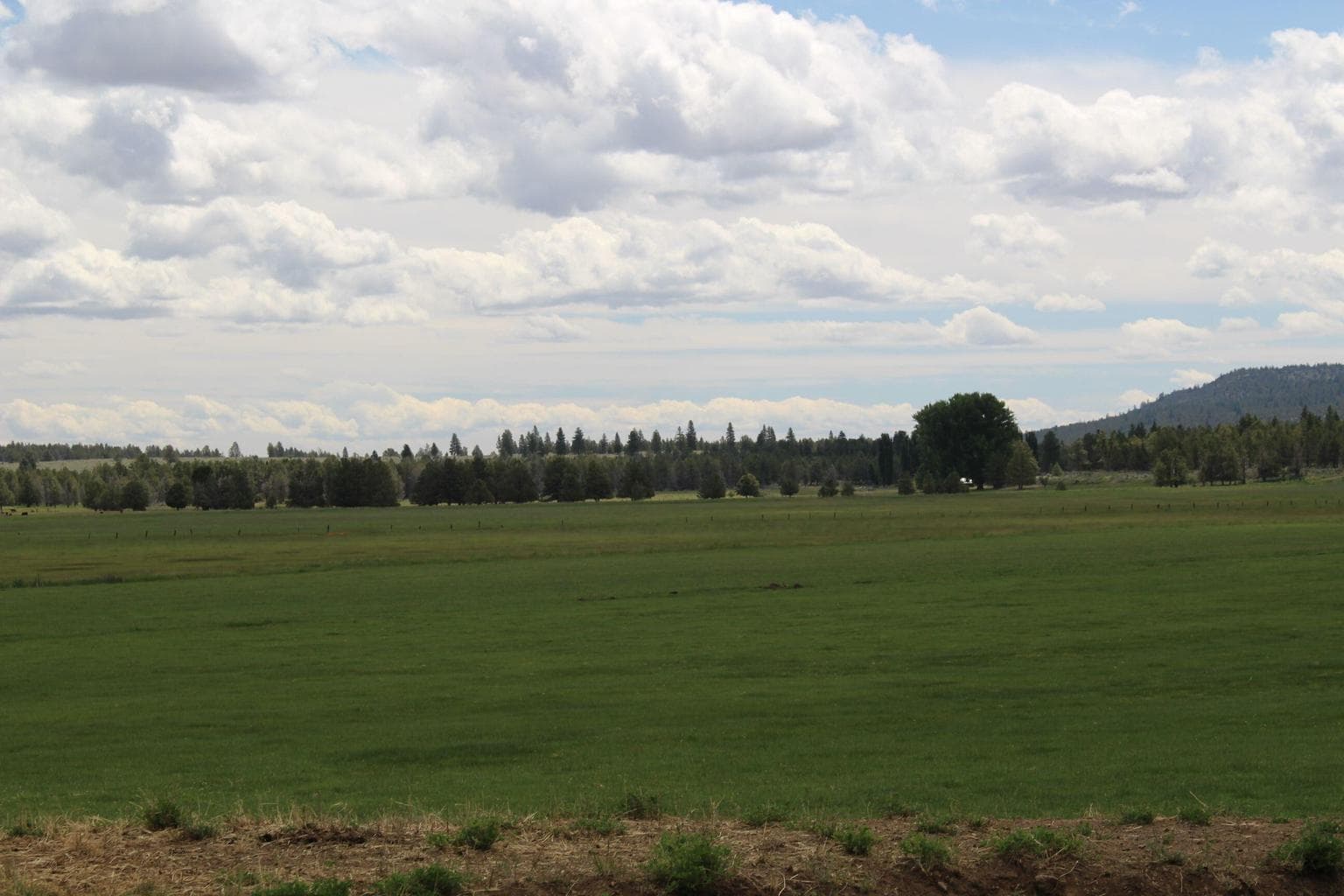 Photo of 23411 Langell Valley 4 of 12