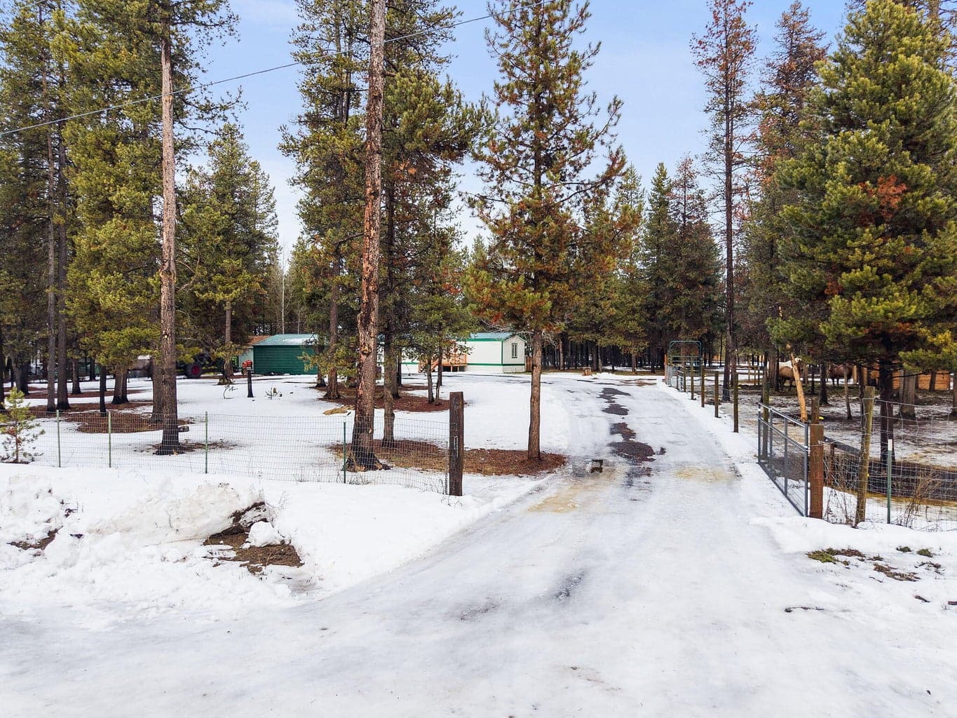 Photo of 16146 Green Forest Road 29 of 33