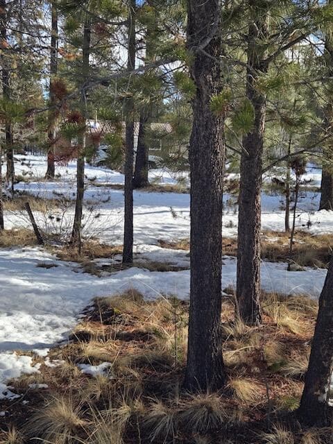 Photo of 52668 Doe Lane 1 of 15