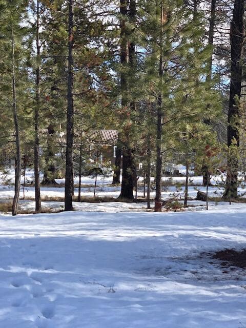 Photo of 52668 Doe Lane 4 of 15