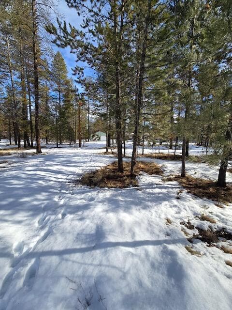 Photo of 52668 Doe Lane 5 of 15