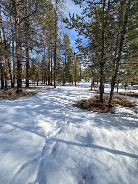 Photo of 52668 Doe Lane 7 of 15