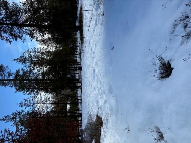 Photo of 52668 Doe Lane 15 of 15