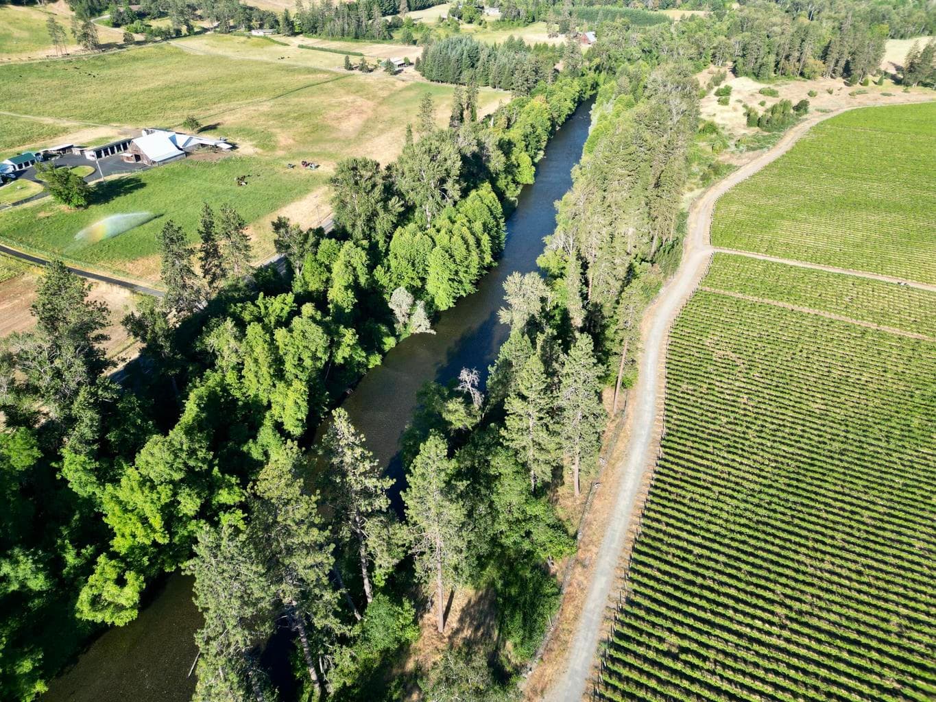 1/2-mile Applegate River Frontage