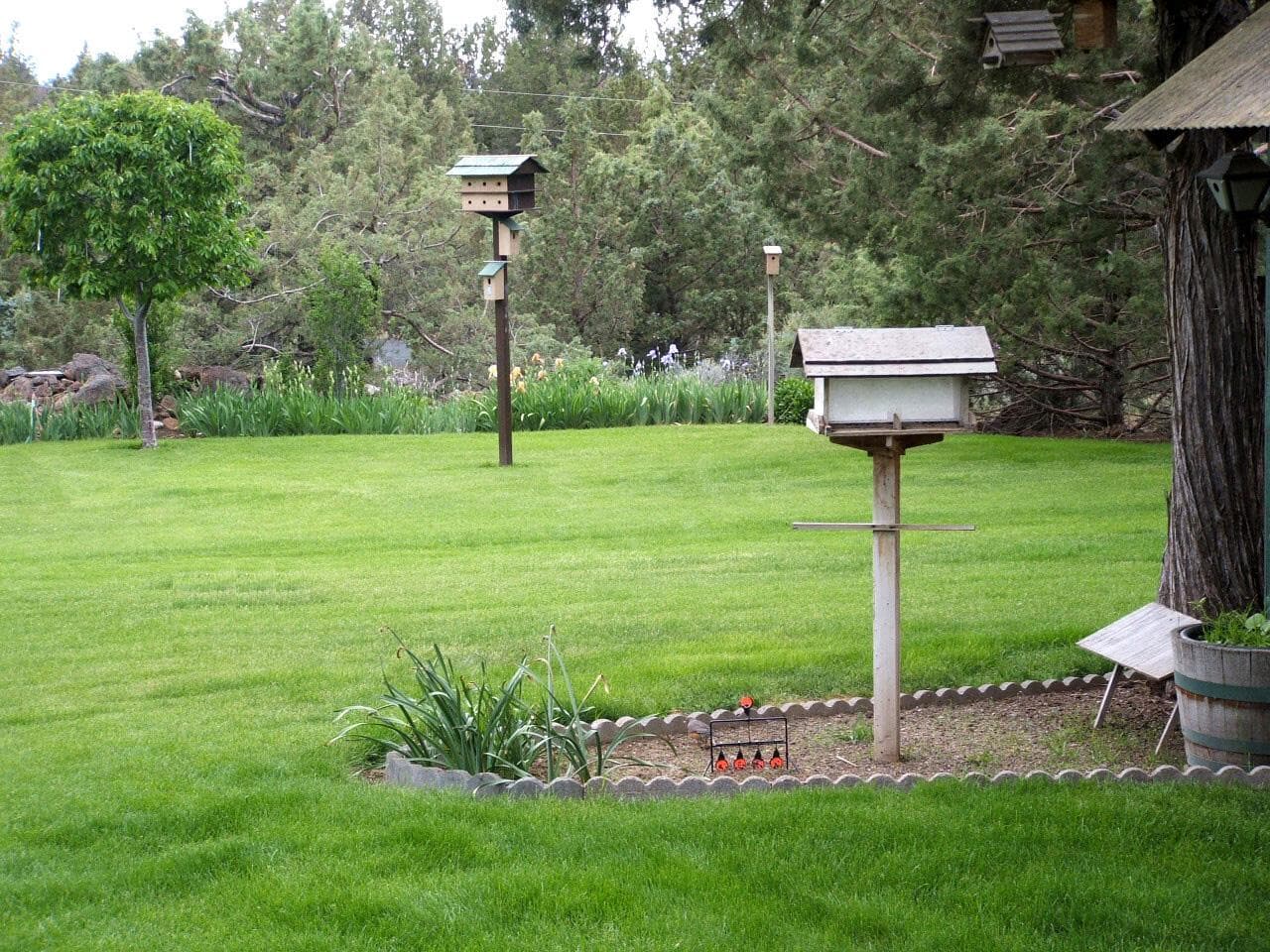 Photo of 3753 NW 25th Street 13 of 32