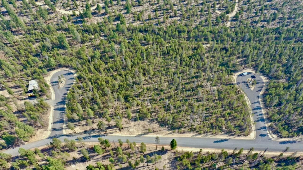Photo of Stirrup Drive 13 of 27