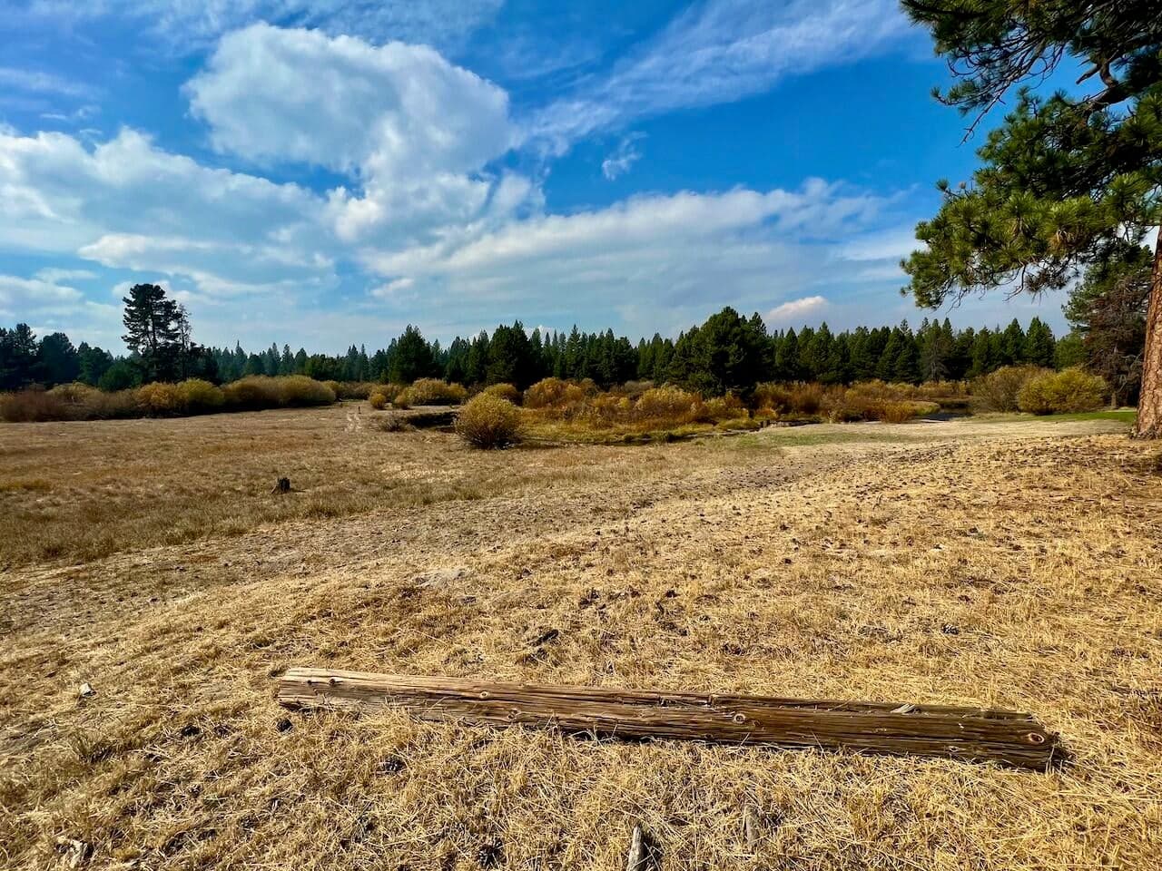 Photo of Stirrup Drive 20 of 27