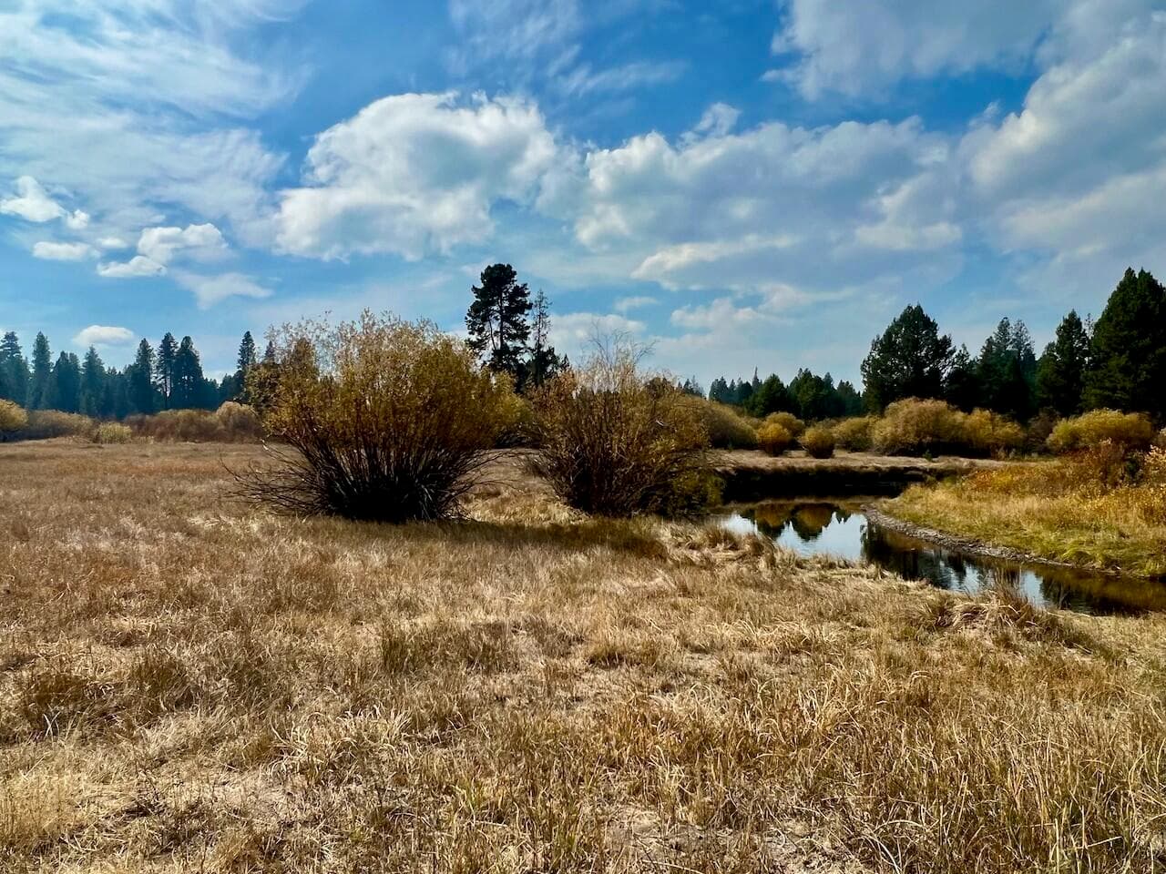 Photo of Stirrup Drive 21 of 27