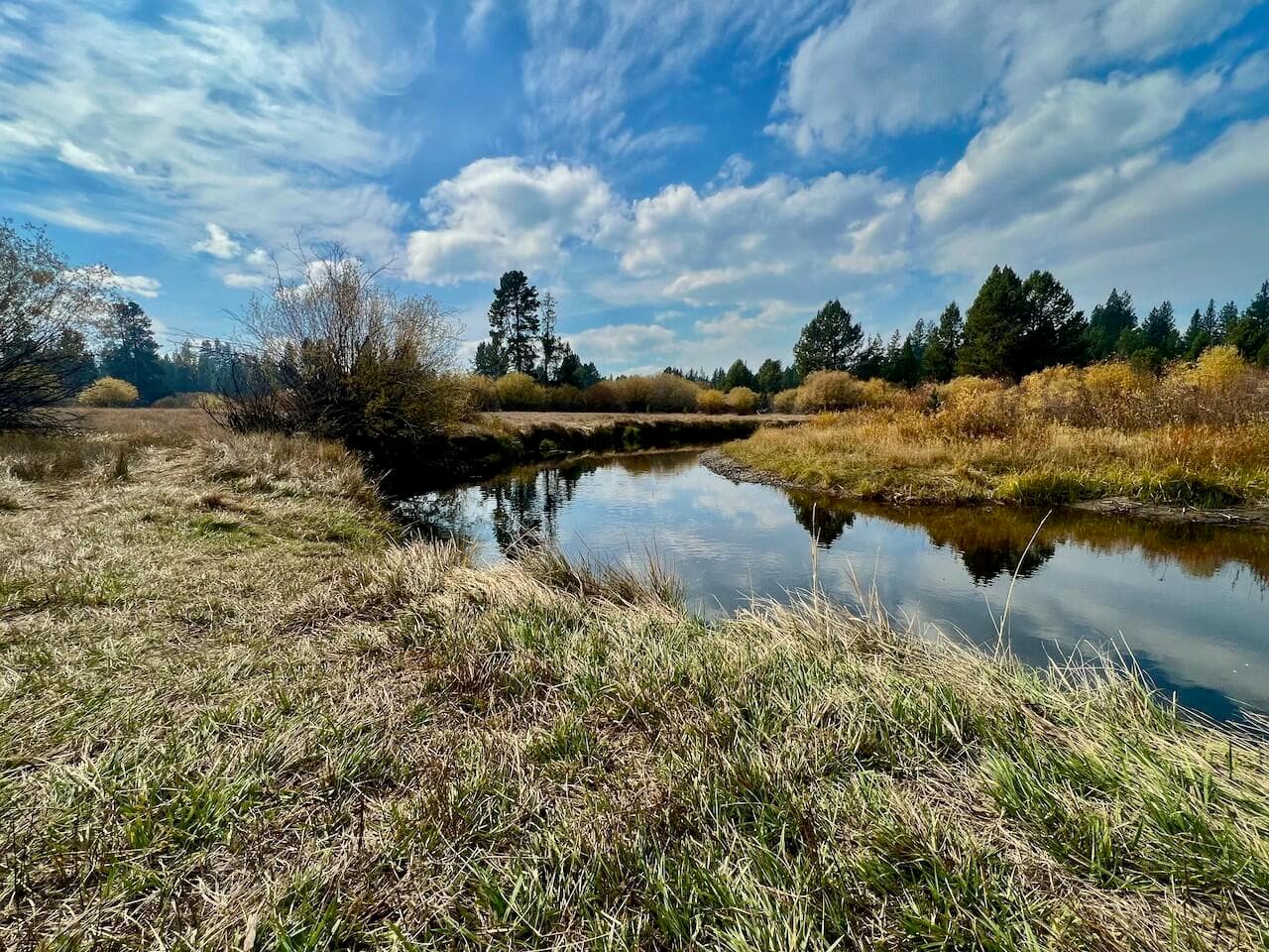 Photo of Stirrup Drive 22 of 27