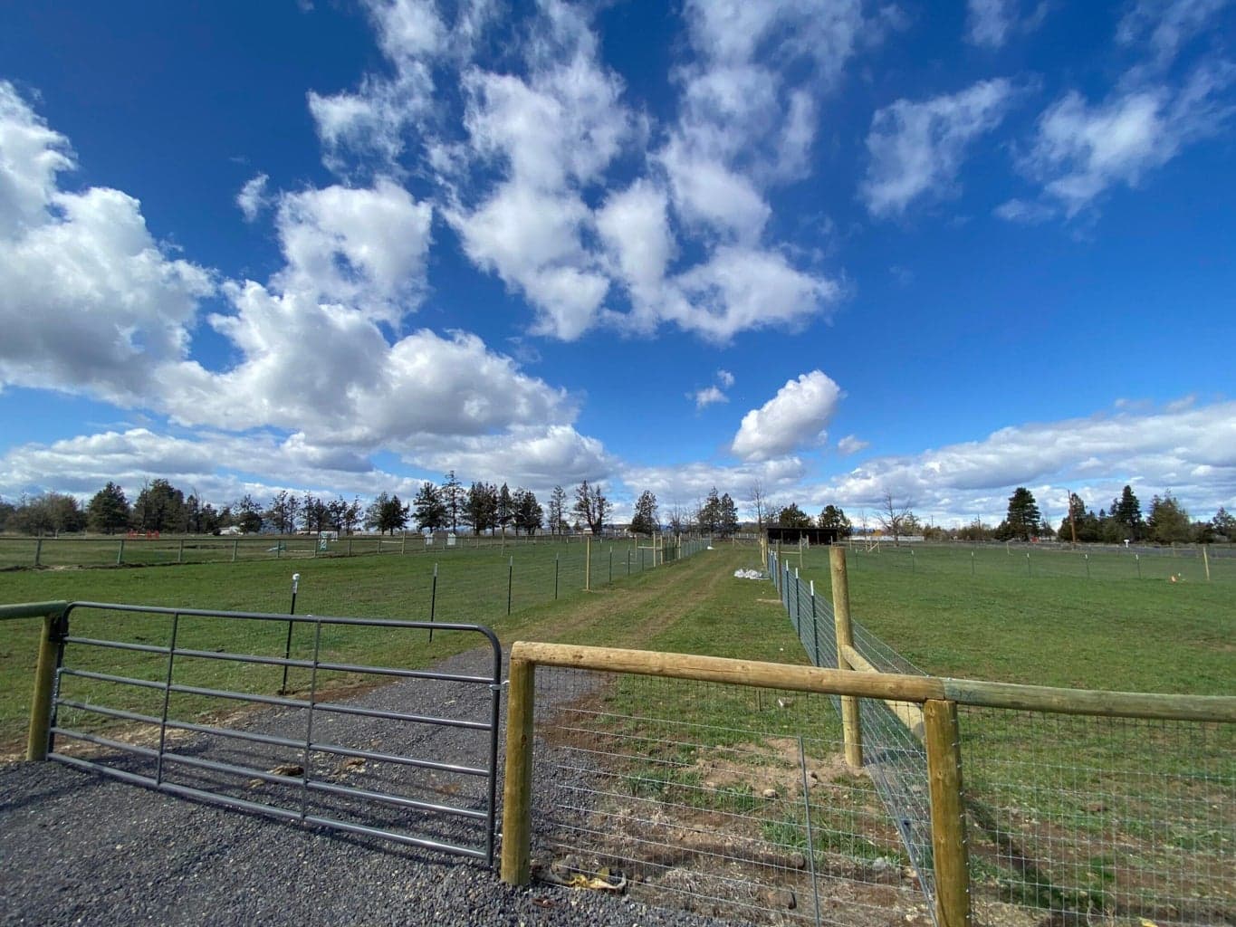 Photo of 22333 Nelson Road 75 of 97